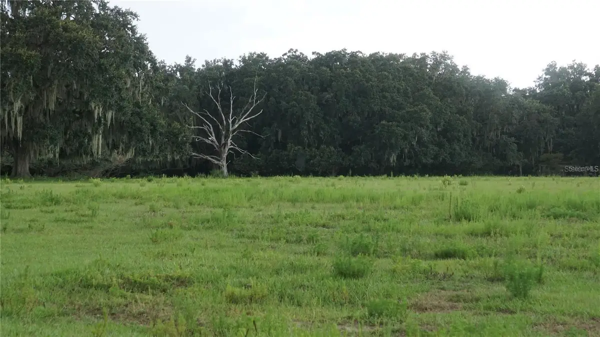 Durant Rd, Dover, FL 33527 - #1