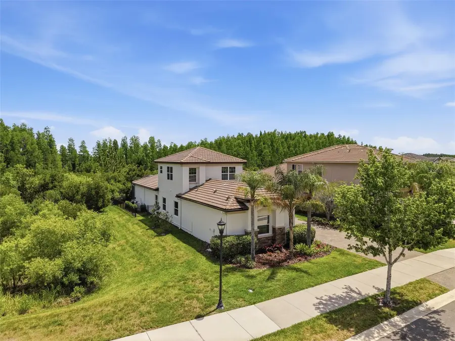 30567 Chesapeake Bay Drive, Wesley Chapel, FL 33543 - #3