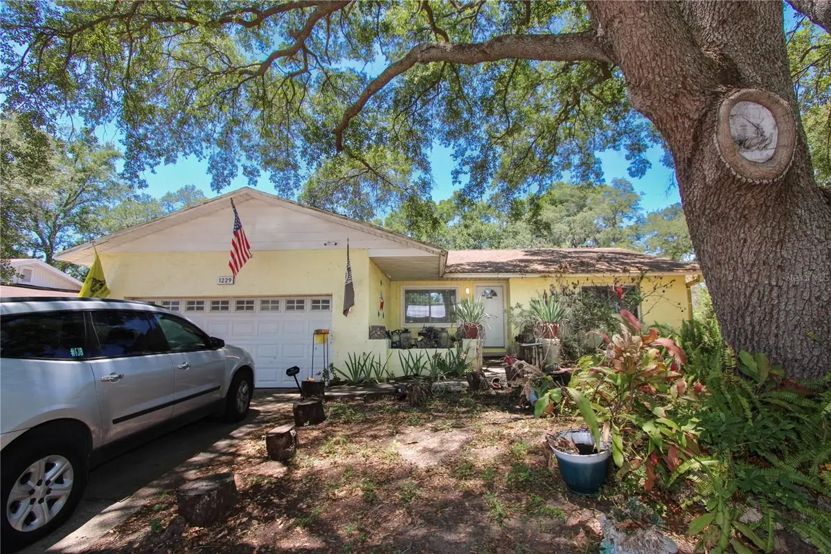 1229 Oak Valley Drive, Seffner, FL 33584 - #1