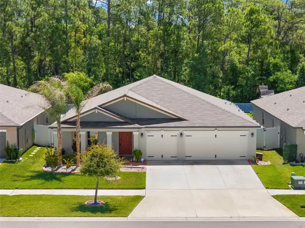 13511 Willow Bluestar Loop, RIVERVIEW, FL 33579