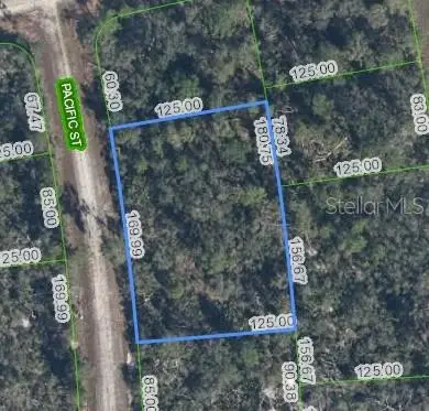 719 Pacific Street, Lake Placid, FL 33852 - #1