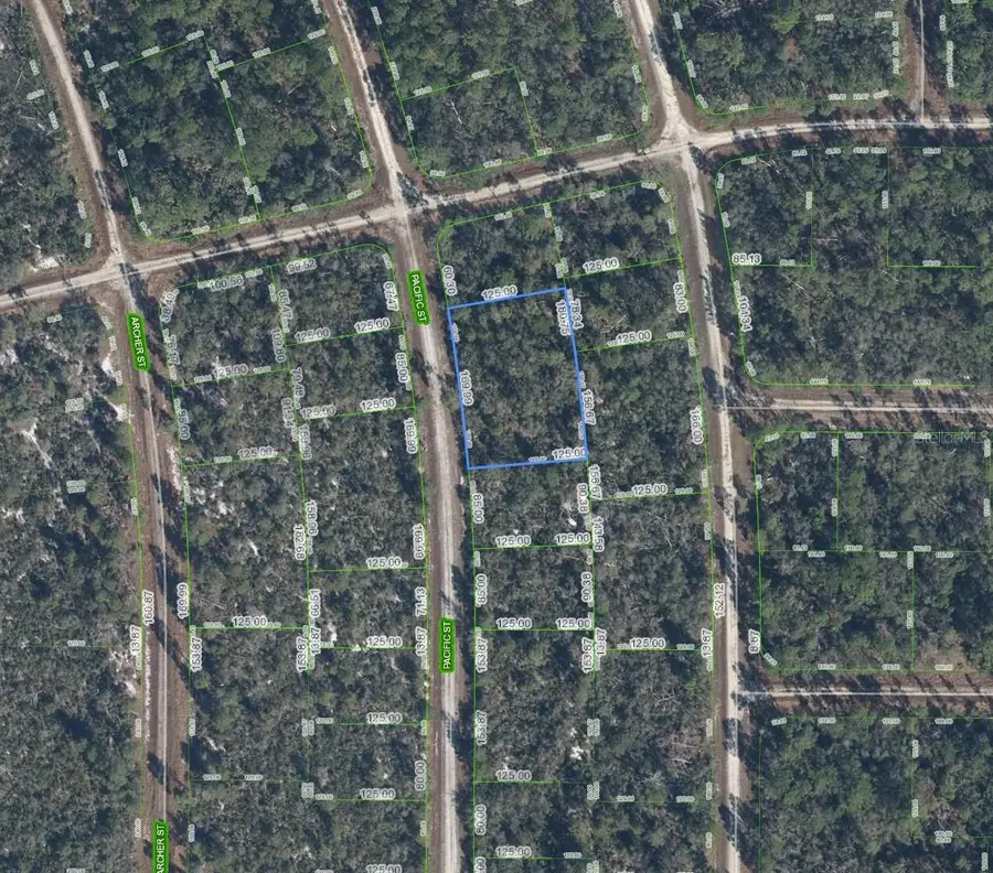 719 Pacific Street, Lake Placid, FL 33852 - #3