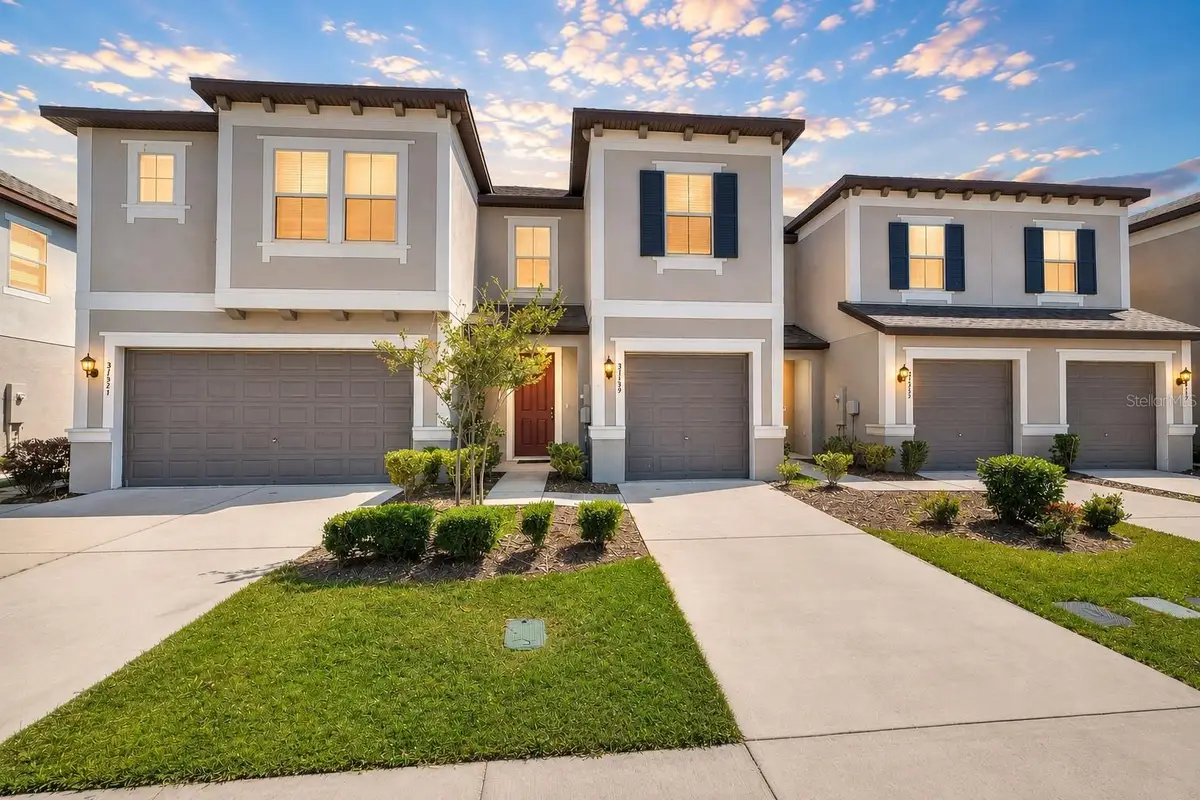 31555 Blue Passing Loop, Wesley Chapel, FL 33545 - #1