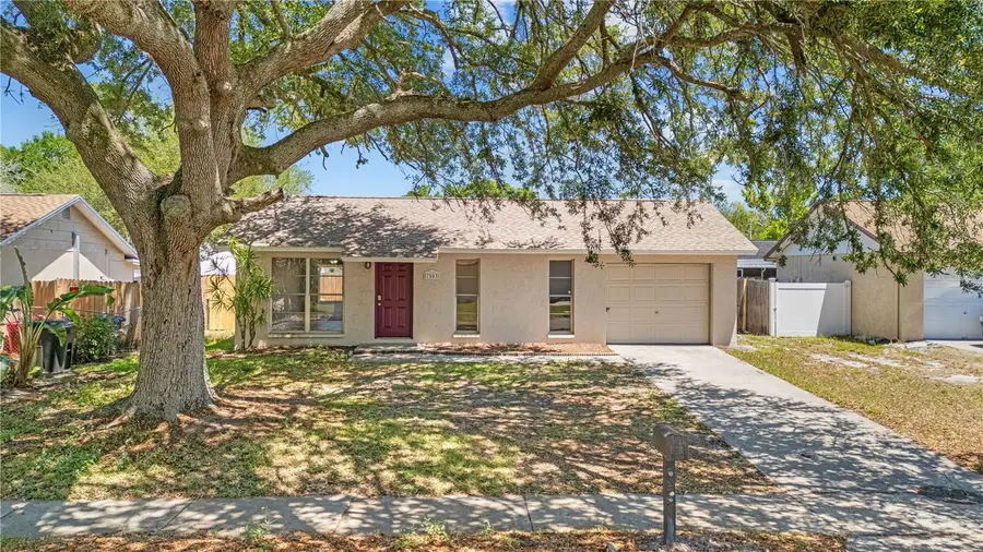 7503 Culver Lane, New Port Richey, FL 34655 - #3