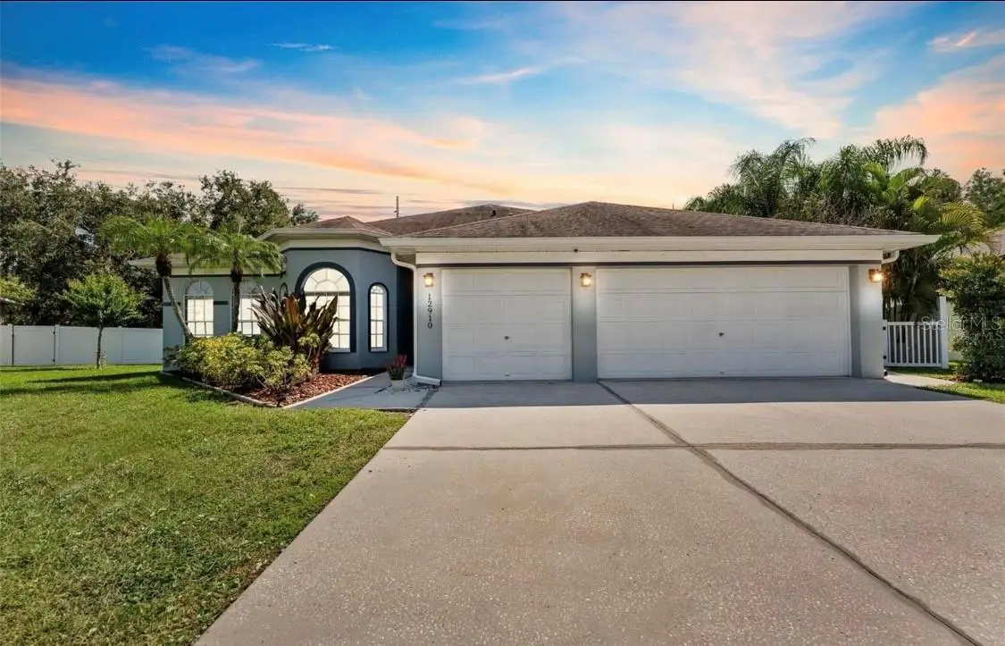 12910 Vicksburg Drive, Tampa, FL 33625 - #1
