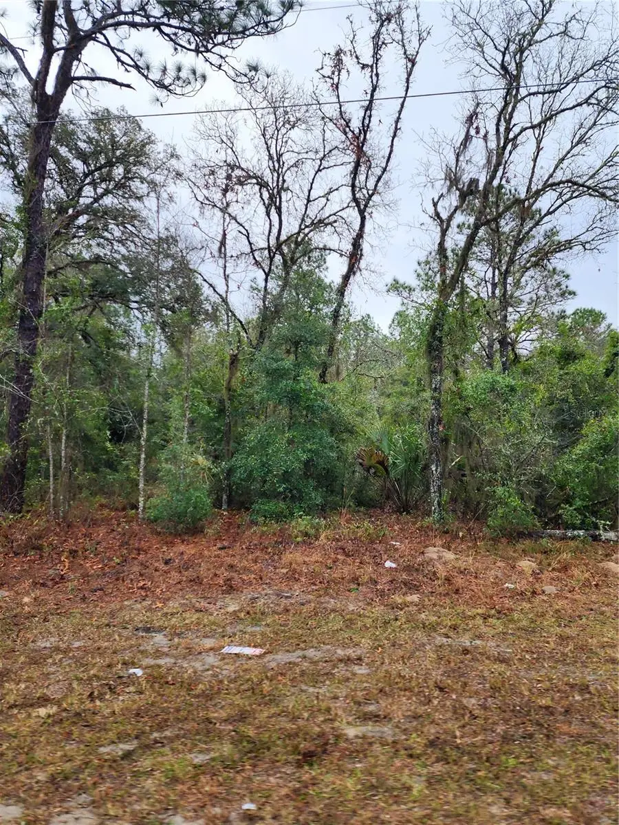7360 W Dunnellon Road, Dunnellon, FL 34433 - #3