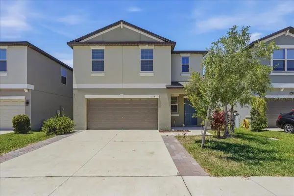5224 White Chicory Drive, APOLLO BEACH, FL 33572
