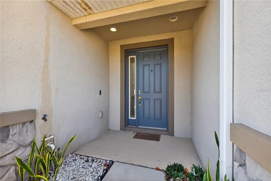 8128 Muddy Pines Place, Tampa, FL 33635 - #3