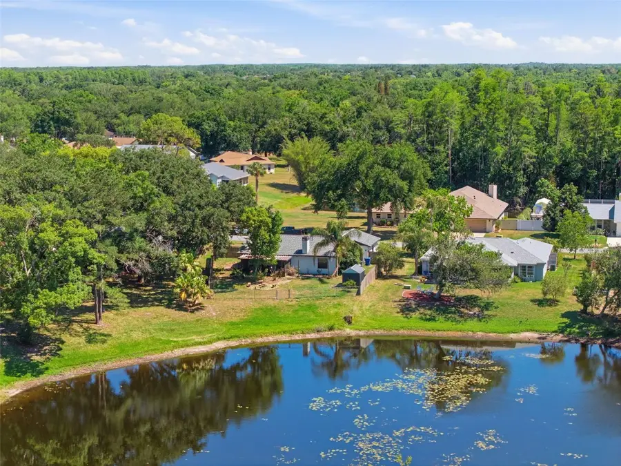 23057 Brighton Place, Land O Lakes, FL 34639 - #3