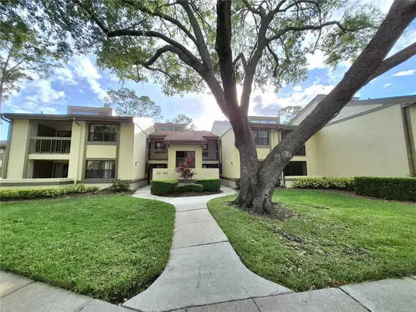 50 Woodlake Place, OLDSMAR, FL 34677
