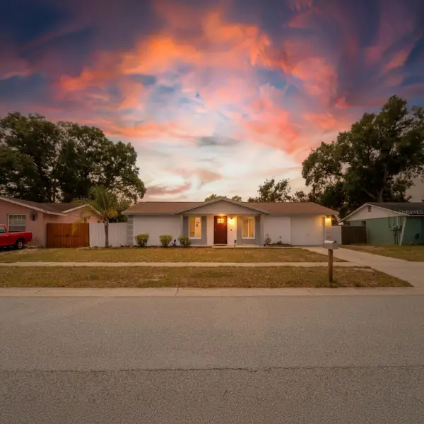 2207 Selkirk Street, VALRICO, FL 33594