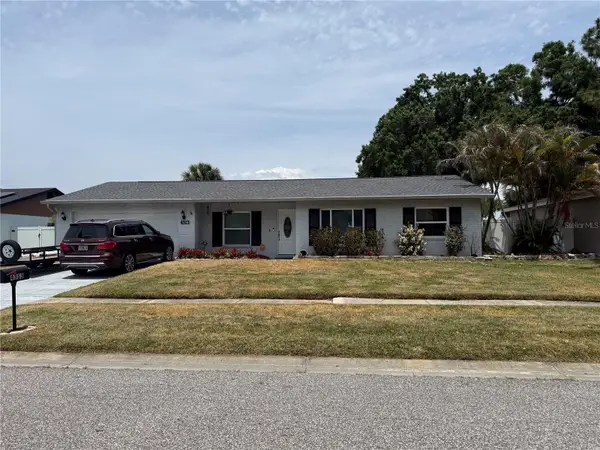 4313 Hollow Hill Drive, TAMPA, FL 33624