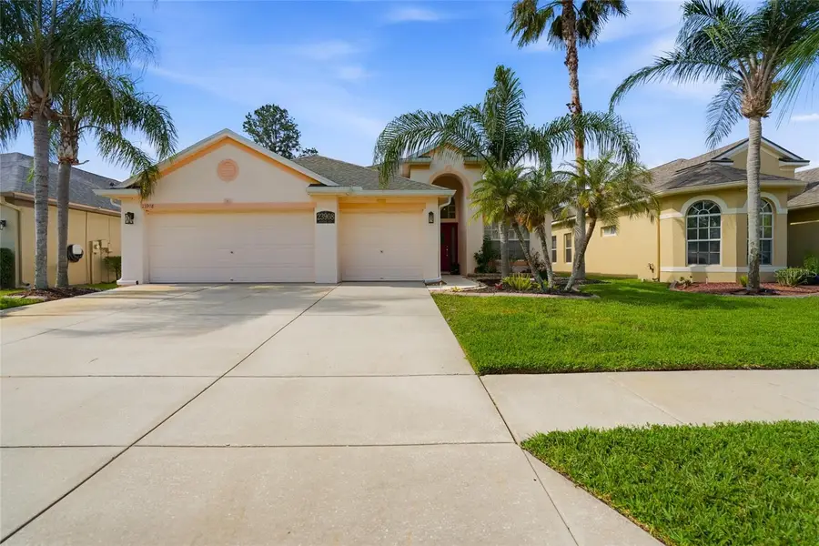 23908 Hastings Way, Land O Lakes, FL 34639 - #2