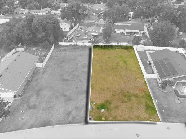 309 Lisa Ann Court, PLANT CITY, FL 33563
