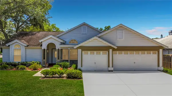 2924 Penridge Drive, PALM HARBOR, FL 34684