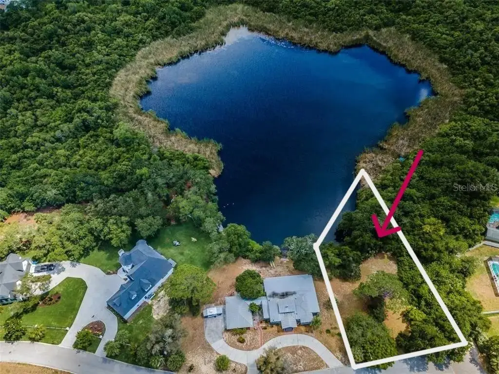 1105 Ashland, Tarpon Springs, FL 34689 - #1