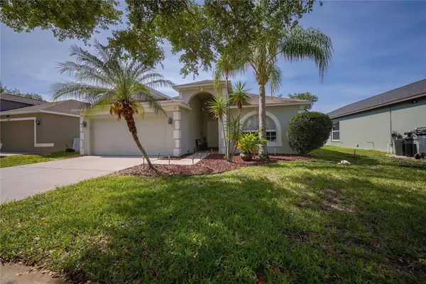 13425 Fladgate Mark Drive, RIVERVIEW, FL 33579