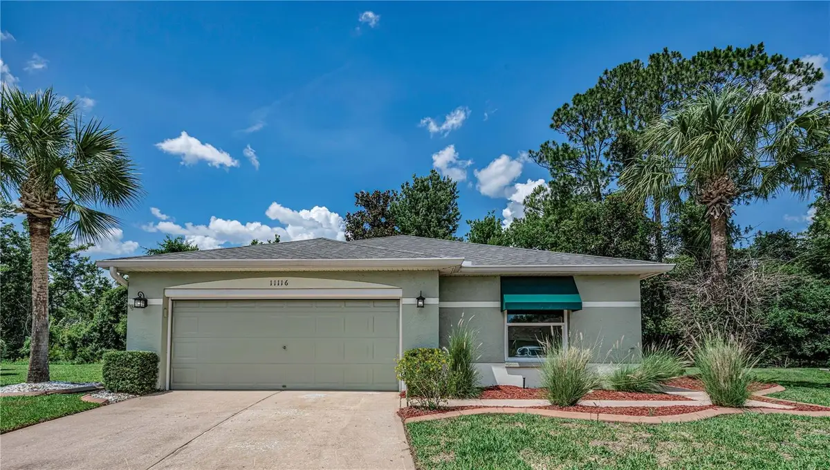 11116 Jenkins Court, San Antonio, FL 33576 - #1