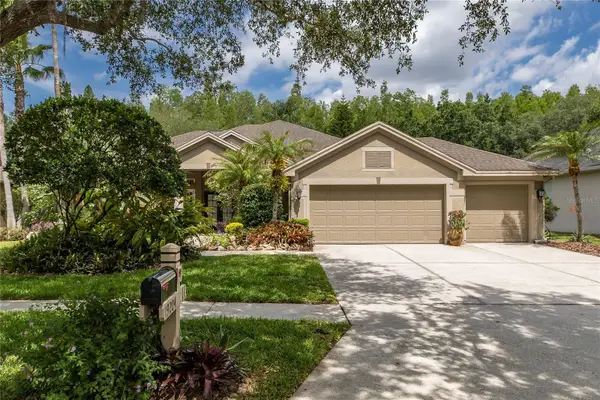 19204 Pristine Place, LUTZ, FL 33558