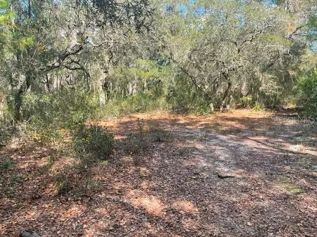 9345 SE 195th Avenue, Ocklawaha, FL 32179 - #1