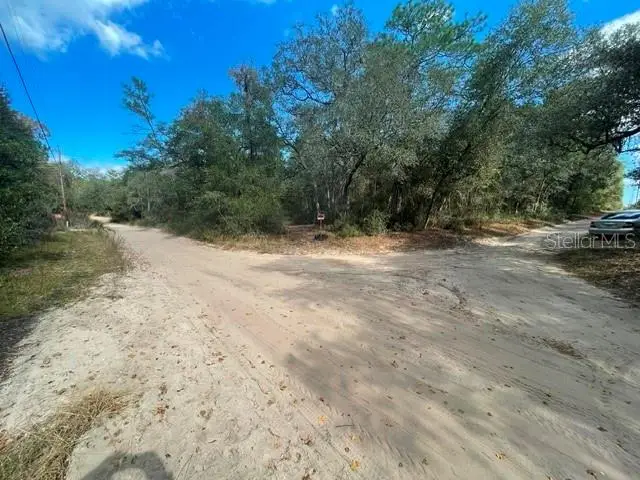 9345 SE 195th Avenue, Ocklawaha, FL 32179 - #3