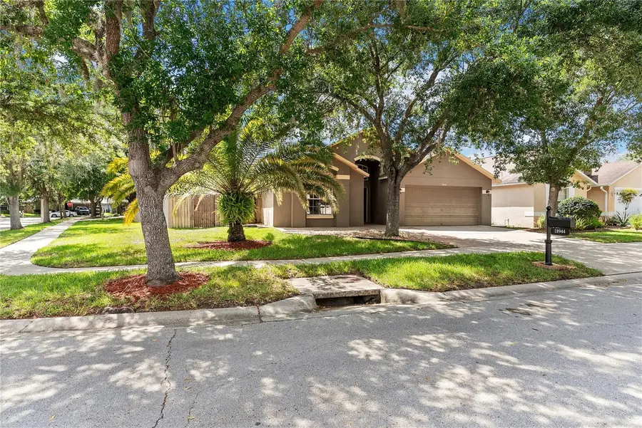 18944 Twinberry Drive, Tampa, FL 33647 - #3