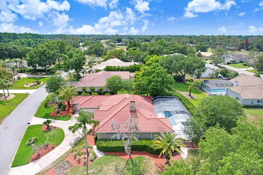 30303 Laurelwood Lane, Wesley Chapel, FL 33543 - #3