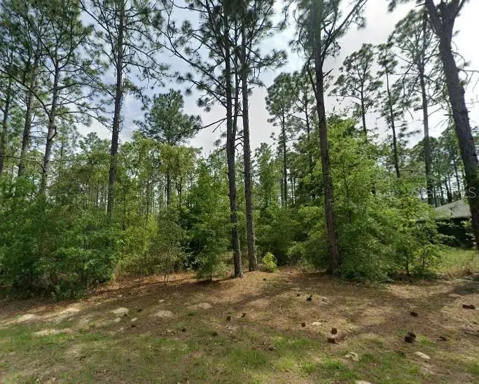 1204 W Fan Drive, Citrus Springs, FL 34434 - #1