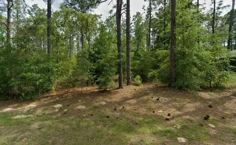 1204 W Fan Drive, Citrus Springs, FL 34434 - #2
