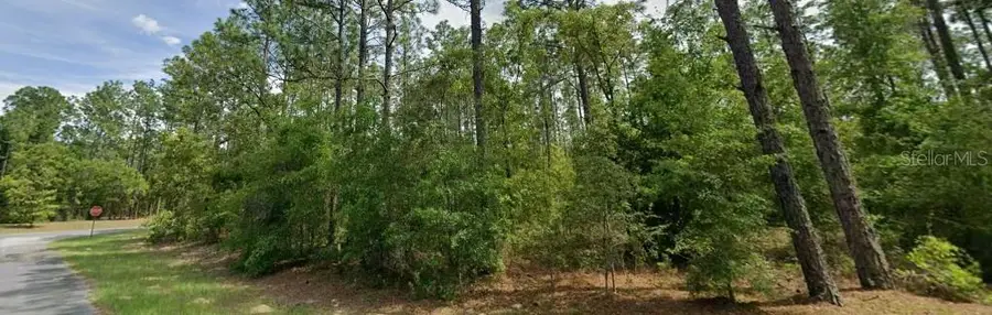 1204 W Fan Drive, Citrus Springs, FL 34434 - #3