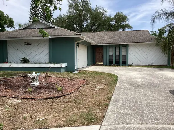 15803 Ironware Place, TAMPA, FL 33624