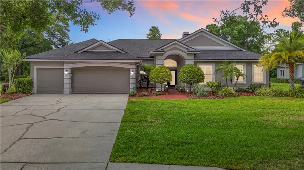 19128 Centre Rose Boulevard, LUTZ, FL 33558