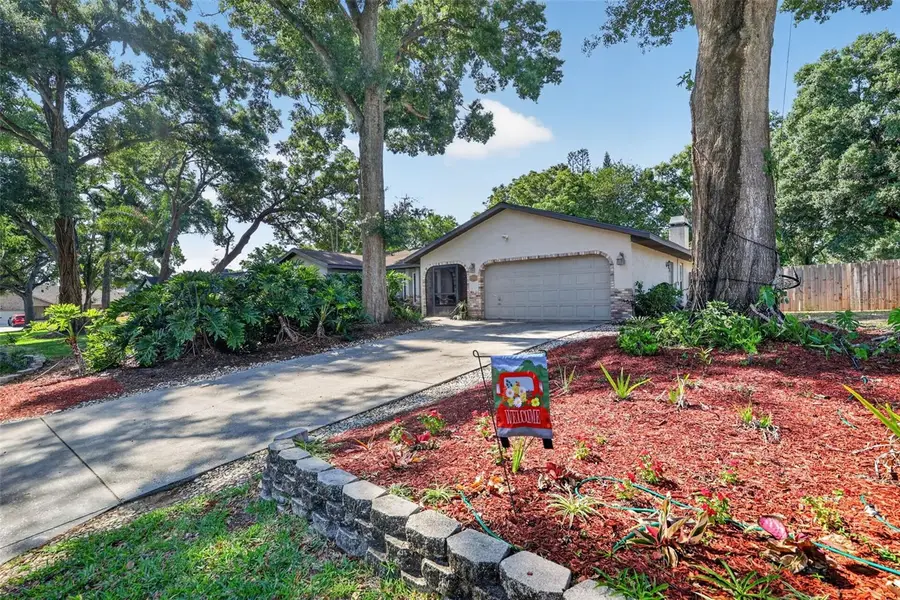 2713 Willow Oaks Drive, Valrico, FL 33594 - #3
