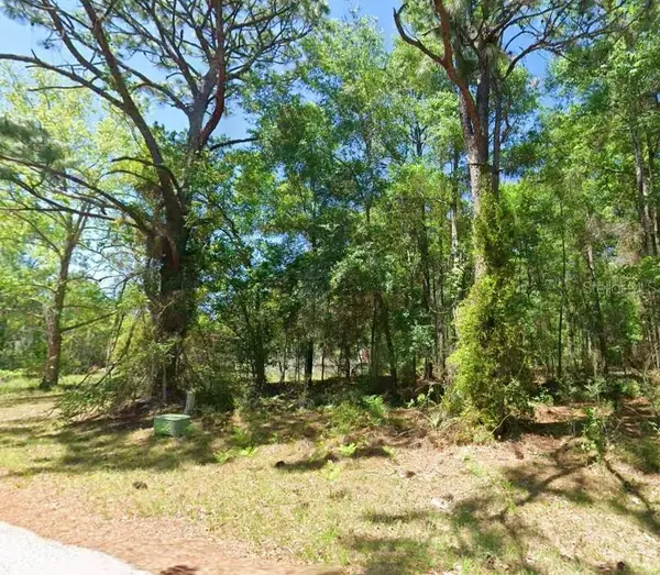 2581 W Pharaoh Court, LECANTO, FL 34461
