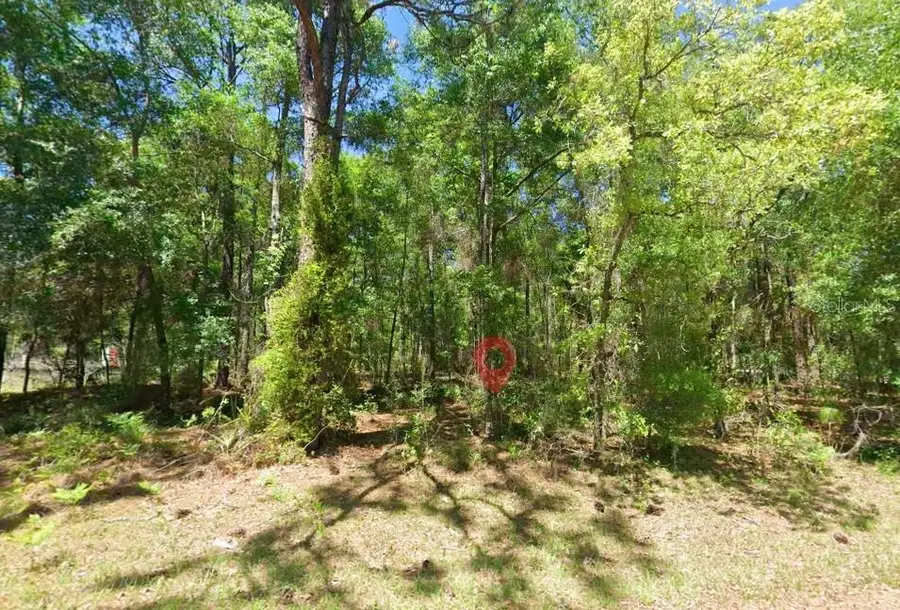 2581 W Pharaoh Court, Lecanto, FL 34461 - #2