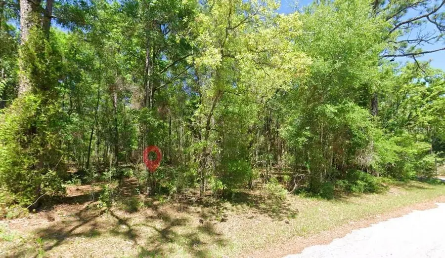 2581 W Pharaoh Court, Lecanto, FL 34461 - #3
