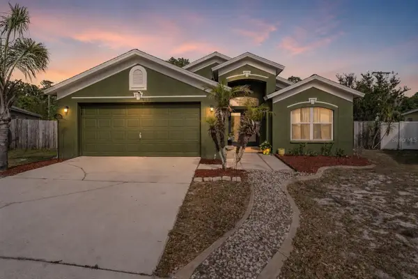 4638 Tucson Court, VALRICO, FL 33594