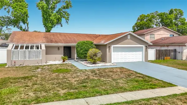 16206 Fantasia Drive, TAMPA, FL 33624