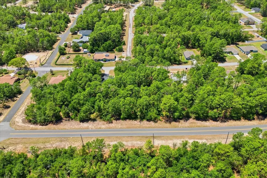 10858 N Elkcam Boulevard, Citrus Springs, FL 34433 - #2