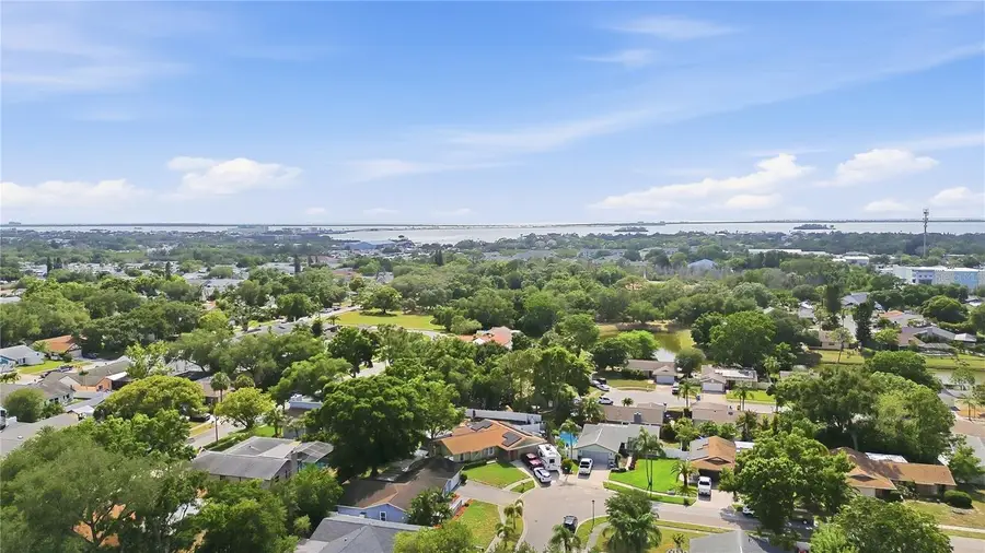 391 Walnut Court, Palm Harbor, FL 34683 - #3