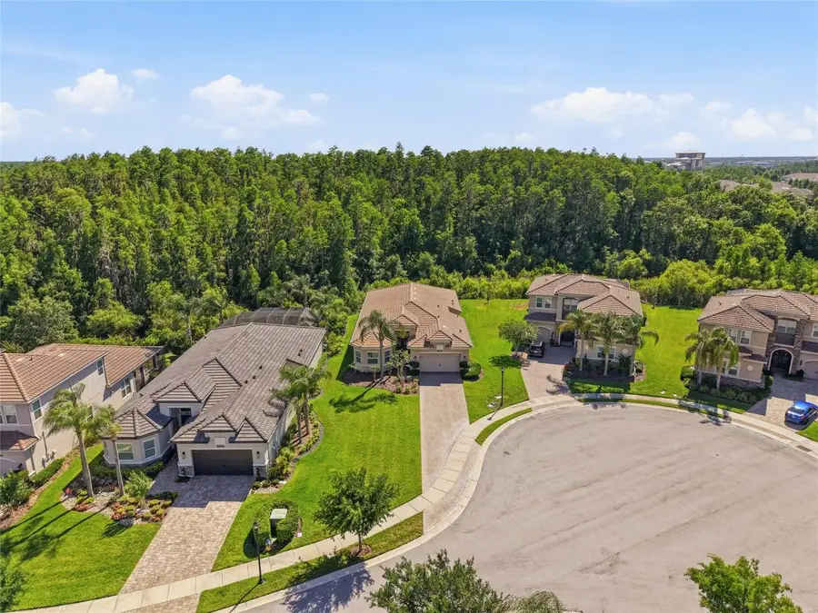 30852 Spruceberry Court, Wesley Chapel, FL 33543 - #3
