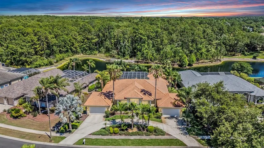 4561 Roanoak Way, Palm Harbor, FL 34685 - #2