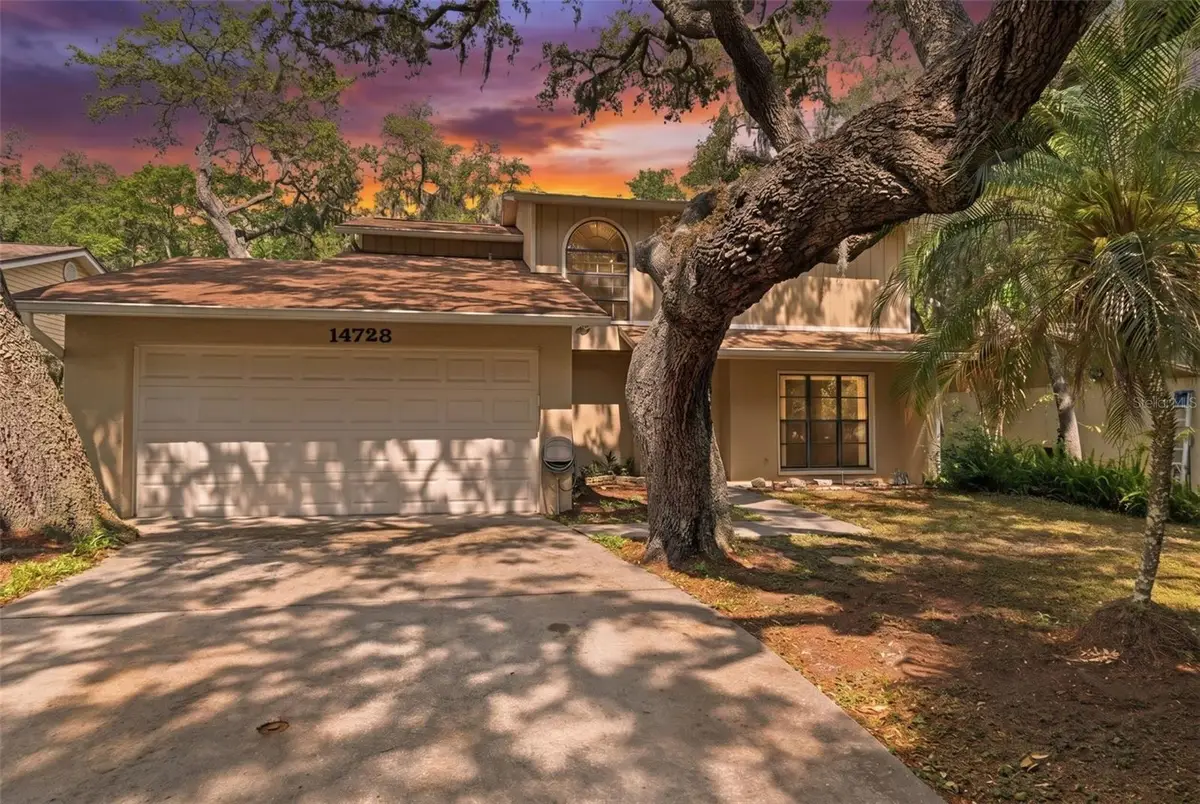 14728 Tall Tree Drive, Lutz, FL 33559 - #1