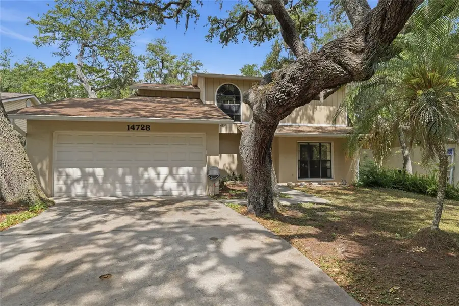 14728 Tall Tree Drive, Lutz, FL 33559 - #3