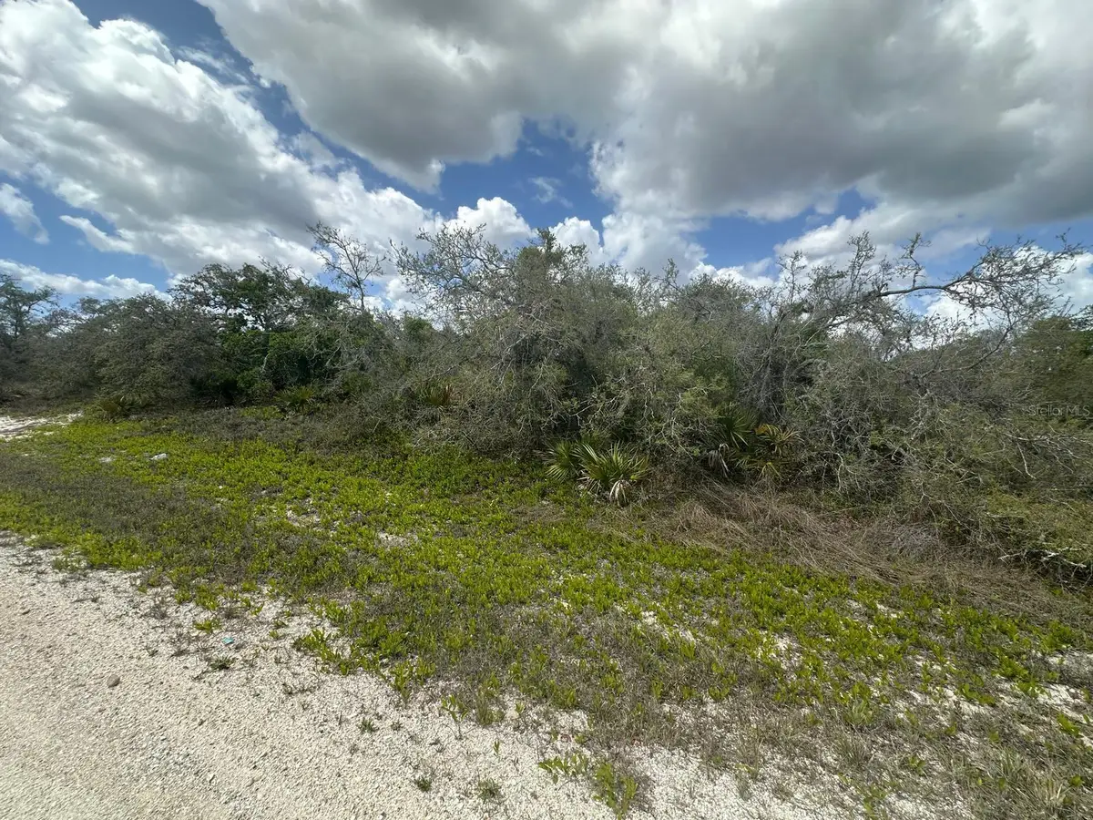 130 Vagabond Avenue, Lake Placid, FL 33852 - #1