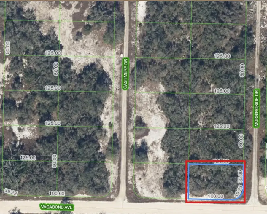 130 Vagabond Avenue, Lake Placid, FL 33852 - #3