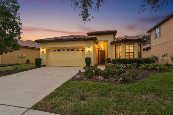 147 Silver Falls Drive, APOLLO BEACH, FL 33572