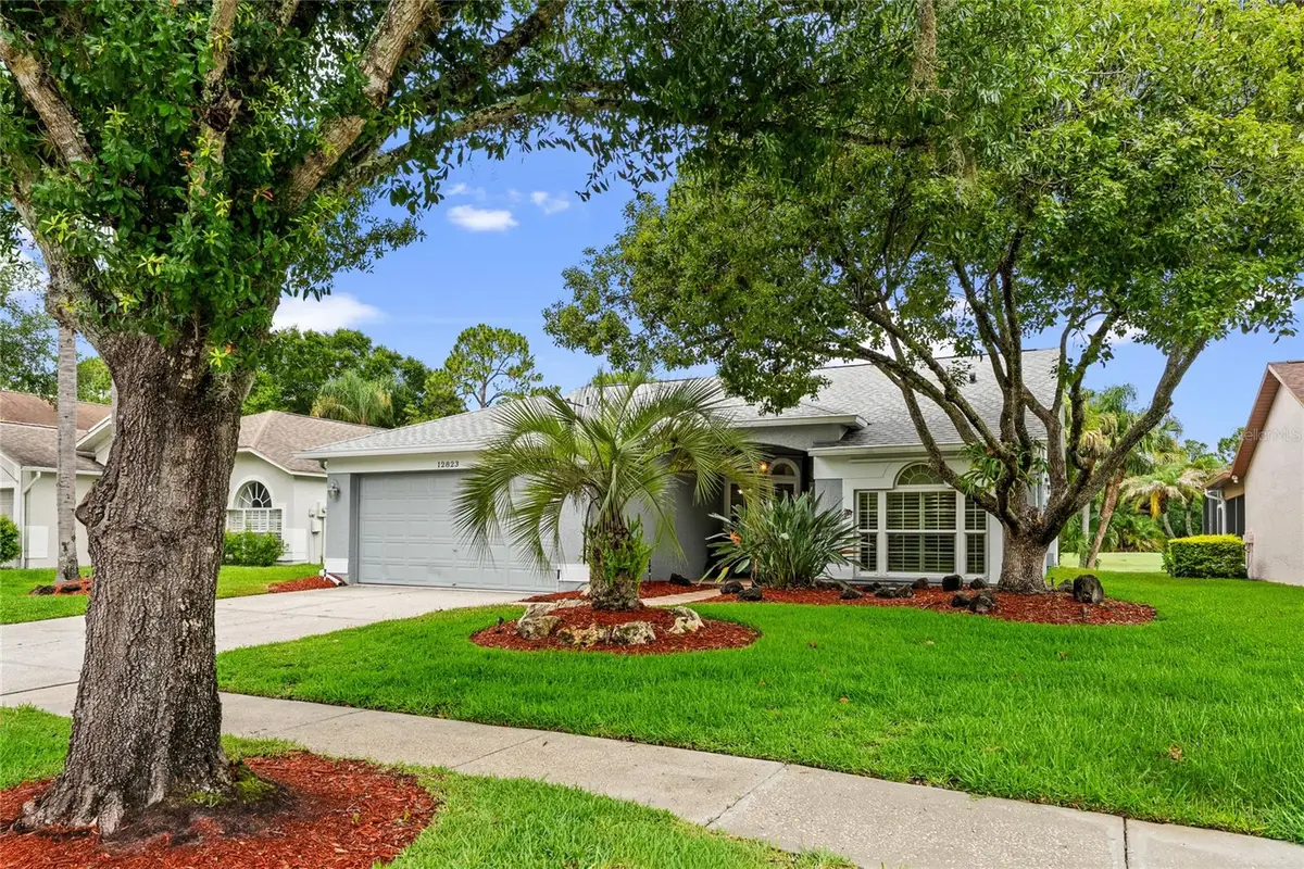 12823 Royal George Avenue, Odessa, FL 33556 - #1