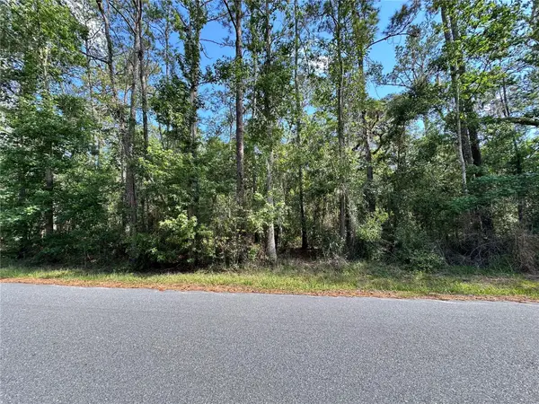 Skyview Circle, BROOKSVILLE, FL 34602