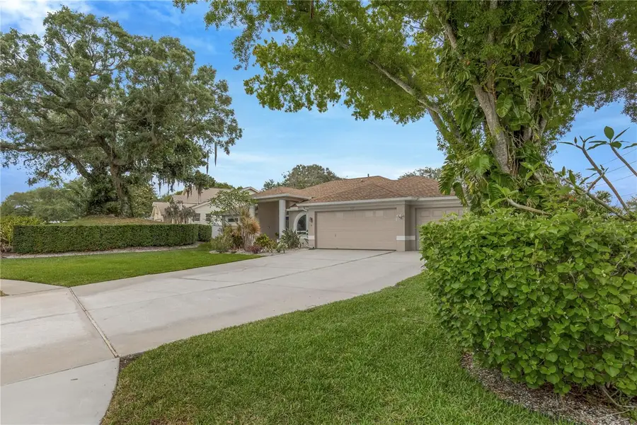 727 Hidden Lake Drive, Tarpon Springs, FL 34689 - #2